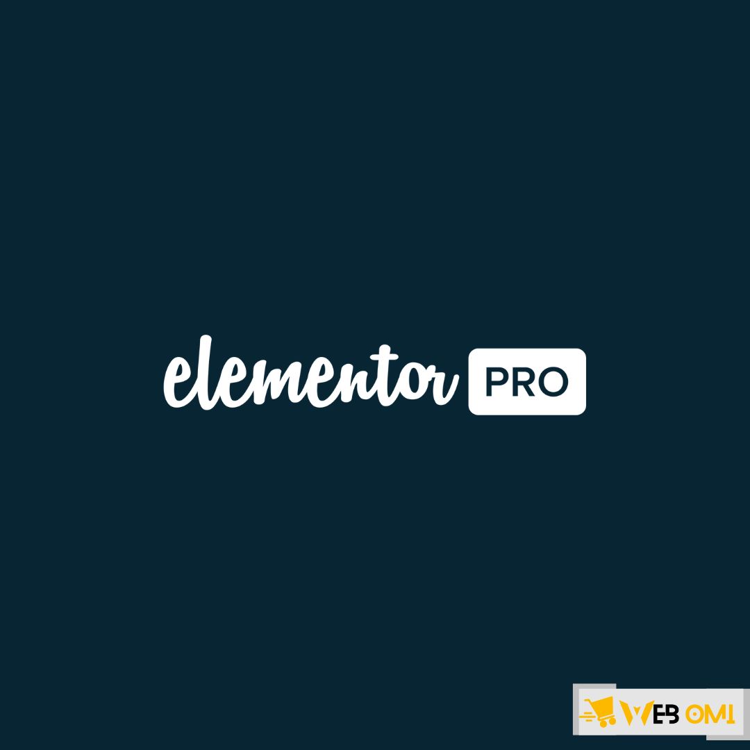Elementor-Pro-v3.25.4-The-Most-Advanced-Website-Builder-Plugin-1